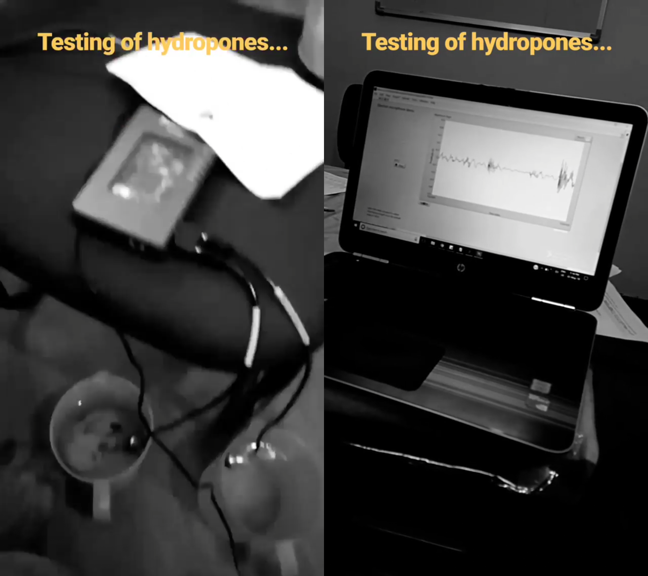 Testing_Facility