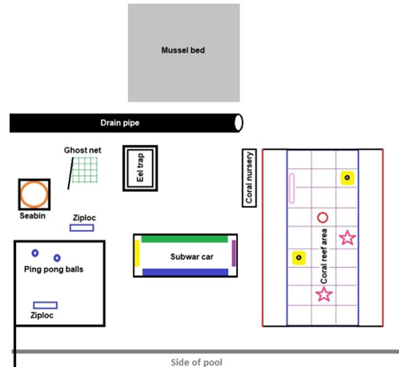 Arena (from Instruction Manual)